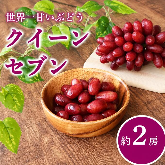 【ふるさと納税】 ぶどう 種なし クイーンセブン 約 2房 ( 約750g ) ブドウ 葡萄 糖度 約20~25度 種無し 皮ごと 甘い 濃厚 クイーン セブン 赤ぶどう 産地直送 季節の果物 季節 フルーツ 果物 くだもの ギフト プレゼント 贈り物 旬 おすすめ 千葉県 旭市 たかの果樹園