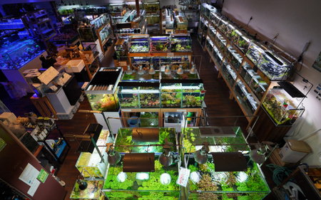 アクアテイラーズ 大地の恵み 育つソイル ３L（ノーマル）〈エビ、淡水魚、その他多くの弱酸性を好む生体に最適〉