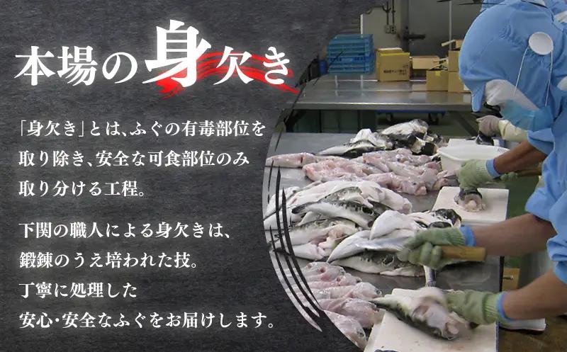 国産とらふぐ 刺身 セット 10人前 ふぐ松前付 冷凍 下関 山口 《海（かい）：KA》