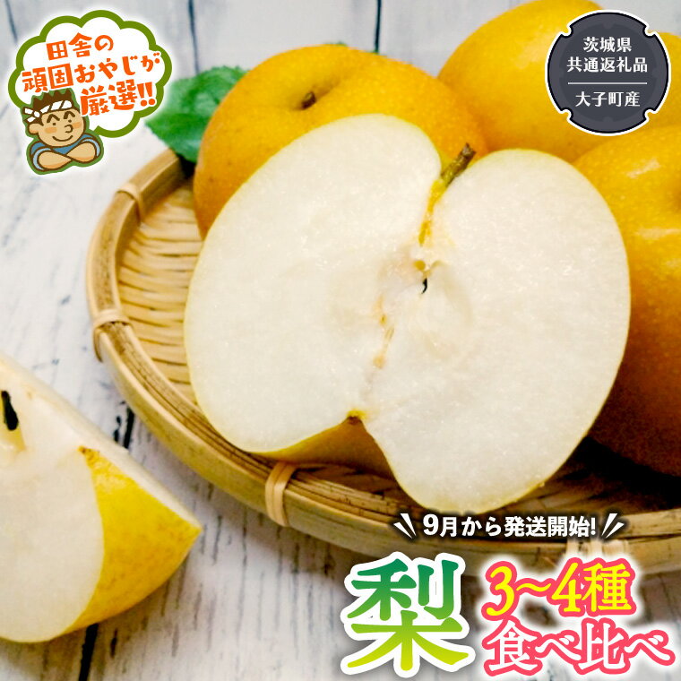【ふるさと納税】 梨 食べ比べ 3～4種類【2025年9月より発送開始】（茨城県共通返礼品 [梨]：大子町産）田舎の頑固おやじが厳選！
