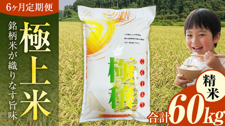 【 令和7年 】 【 6ヶ月 定期便 】  極上ふるさと米 精米  10kg × 6回 ( 合計 60kg ) (茨城県共通返礼品 かすみがうら市)  [EX036sa]