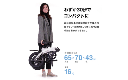 電動アシスト自転車 RICHBIT CITY ASSIST シティブラック 【Acalie】 コンパクト 折りたたみ[MGS006-1]