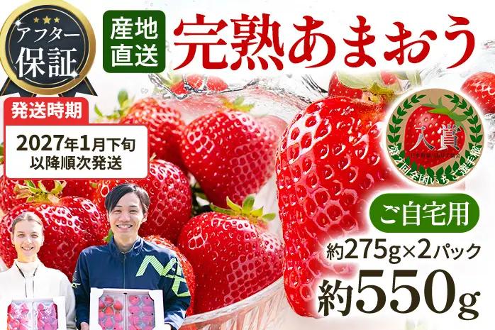 いちご あまおう 約275g×2P R9年1月下旬以降発送 いちご