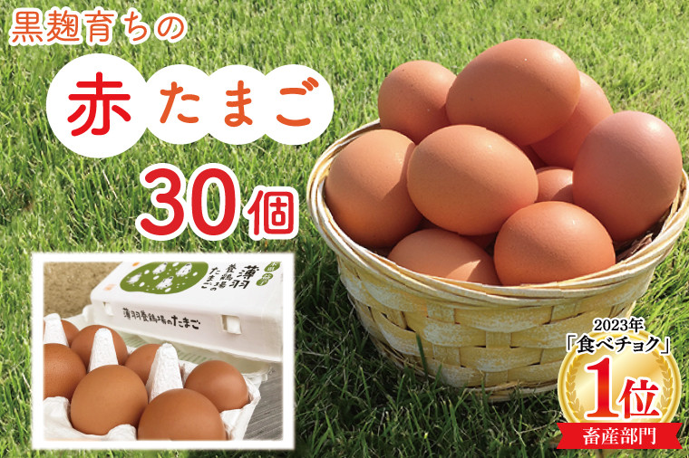 
                  黒麹育ちの赤たまご30個 |栃木県 益子町 ふるさと納税 たまご 卵 タマゴ 赤たまご 人気 濃厚 食べチョク (BC007)
                