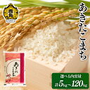 【ふるさと納税】 米 令和6年産 秋田県産 低温乾燥 低温精米 あきたこまち 5～120kg 単一原料米 精米 白米 10kg 5kg 米 お米 こめ コメ おすすめ お中元 お歳暮 グルメ ギフト 故郷 秋田県 秋田 あきた 鹿角市 鹿角 送料無料 【こだて農園】