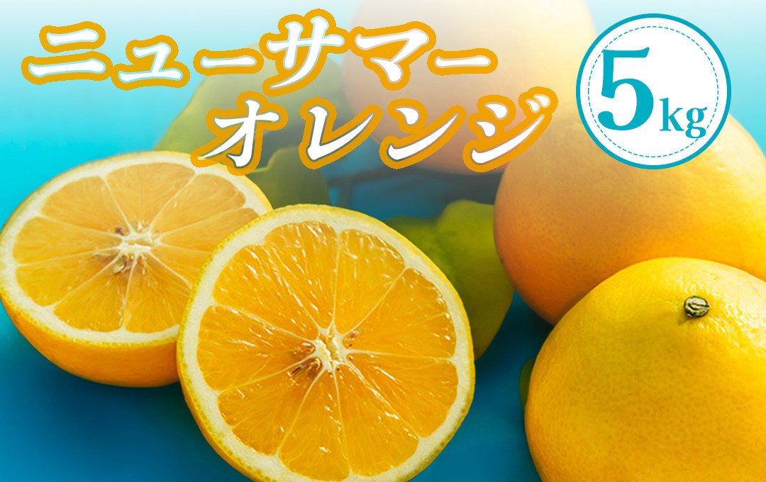 
            【先行予約＿2026年出荷分】湯の花　ニューサマーオレンジ　5kg箱セット　【 ニューサマーオレンジ 日向夏 みかん 果物くだもの フルーツ 旬 柑橘 静岡 甘い 新鮮 伊豆 南伊豆 】　<BC-13>
          