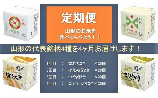 【定期便】令和６年産 無洗米キューブ２合×２０個を４か月連続お届け　0059-2438