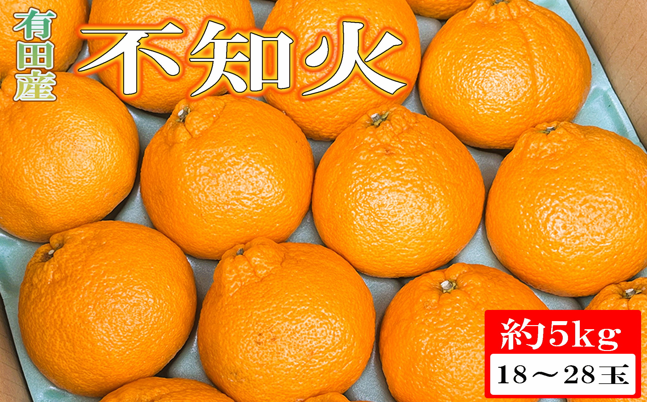 【濃厚】有田の不知火約5kg（18玉～28玉おまかせ） ※2027年2月中旬～2027年4月中旬頃に順次発送予定（日付指定不可）【tec860A】