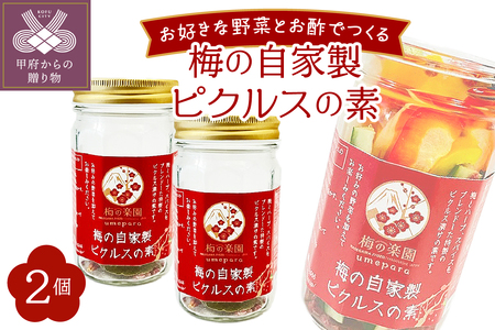 梅の自家製ピクルスの素　2個セット