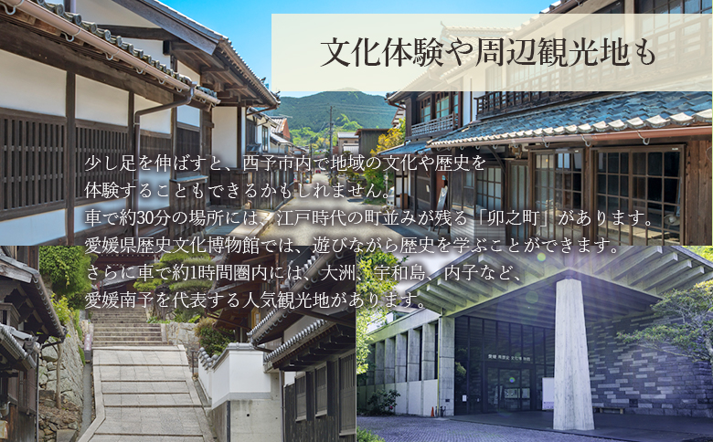 ＜築160年の古民家民宿シュエ(1名様1泊宿泊券)農作業体験3時間/食事付きプラン(夕食朝食)＞ 体験内容 農業 果物 野菜収穫 釣り 夕食 朝食 昼食 農家民宿 泊まり 利用券 旅行 トラベル 一泊