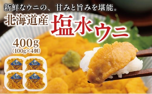 塩水ウニ 100g×4個  ふるさと納税 人気 おすすめ ランキング うに ウニ 雲丹 ムラサキウニ バフンウニ 生鮮 無添加 魚介類 塩水 生食 北海道 松前町 送料無料 MATM001