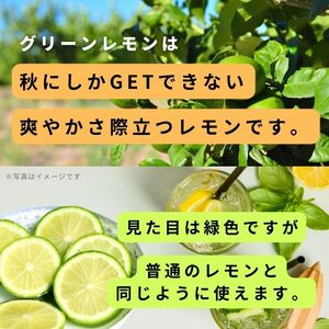 グリーンレモン 約2kg 有機JAS認証取得 フルーツ 果実 広島県産有機 オーガニックレモン 10~11月発送予定 国産 瀬戸内レモン 大崎上島 送料無料 産地直送 ふじやファーム
