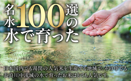 【3回定期便】【11月発送】【R7年産】 岐阜 ハツシモ 15kg 名水 100選に選ばれた 長良川 中流の水で育った 「清流長良川米」 すし飯 冷めても美味しい 米 岐阜市 / 森ライス[ANCU0