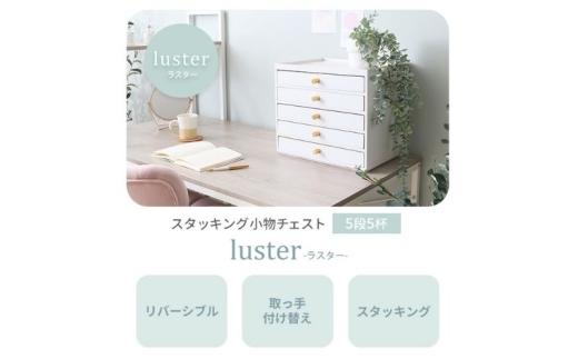 [ナチュラル] スタッキング 小物チェスト luster ラスター 5段5杯 収納 卓上 棚 家具