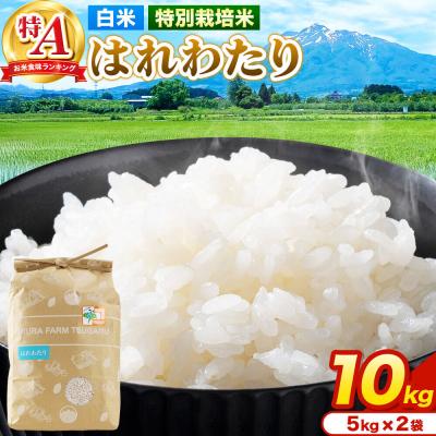 ふるさと納税 弘前市 米【特別栽培米】はれわたり 白米 10kg(5kg×2袋)R7年産 特A|24_mft-031001
