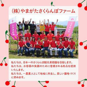 季節 の フルーツ 詰合せ ( 12月分 ) 2.5kg 果物 山形 08-03-054