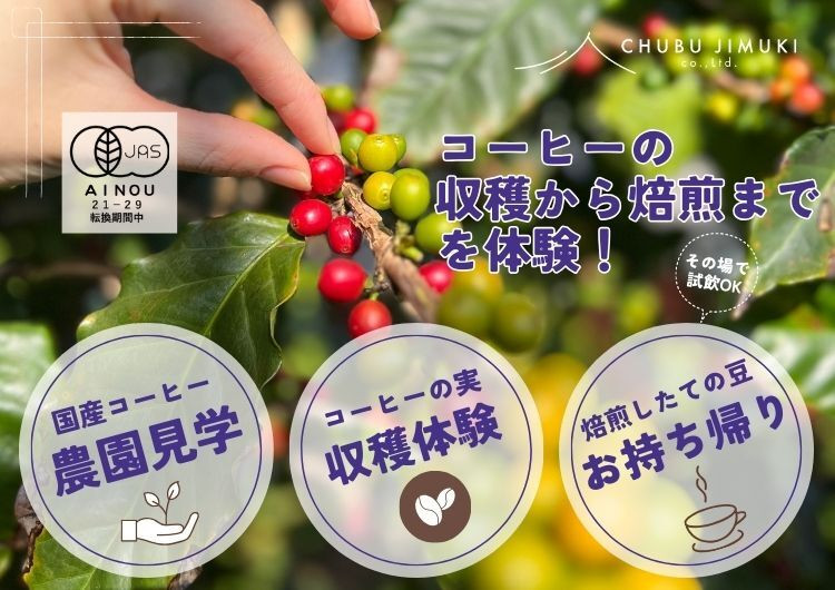 
            991　コーヒー栽培ハウスの見学＋収穫～焙煎体験＋試飲
          