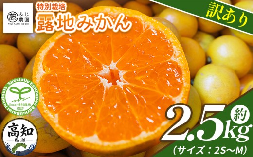 
            【2026年10月以降順次配送分】ふじ農園の露地みかん 訳あり品 2.5kg (2S～M) - 国産 蜜柑 ミカン 柑橘 果物 フルーツ 訳アリ ご家庭用 家庭用 自宅用 ふじ農園 高知県 香南市 常温 fn-0012
          