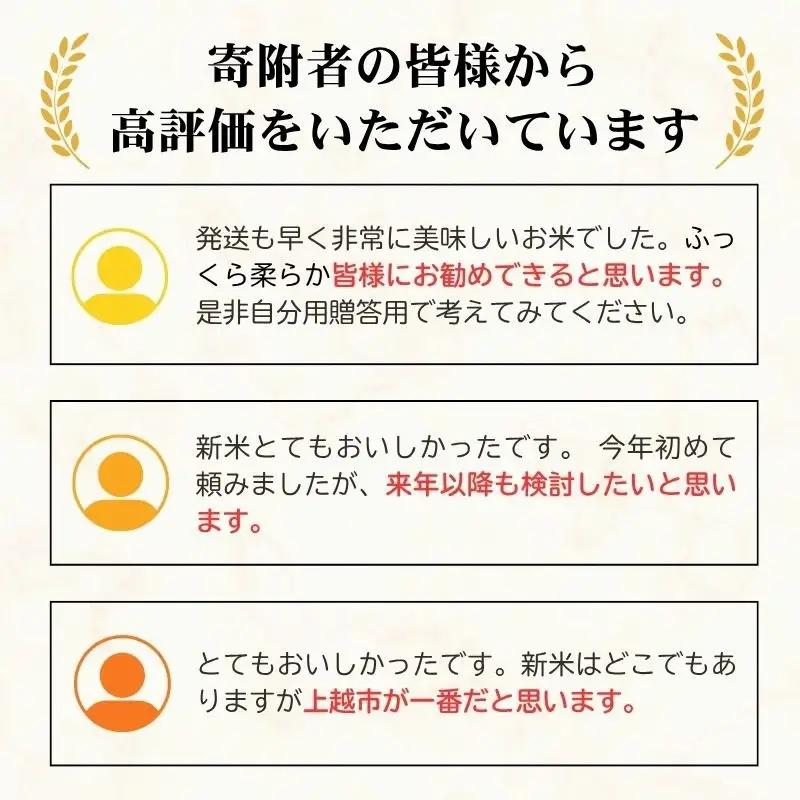 コシヒカリ5㎏ 新潟県 上越産 米 コシヒカリ 令和7年産