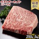 【ふるさと納税】博多和牛サーロインステーキ 250g 500g 1kg 5kg 黒毛和牛 お取り寄せグルメ お取り寄せ お土産 九州 福岡土産 取り寄せ グルメ MEAT PLUS CP-S0003 CP011 CP012 CP013 CP034