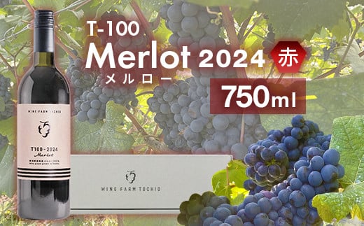 
            24-05A T100 Merlot〈赤〉2024 750ml【ワインファームとちお】
          