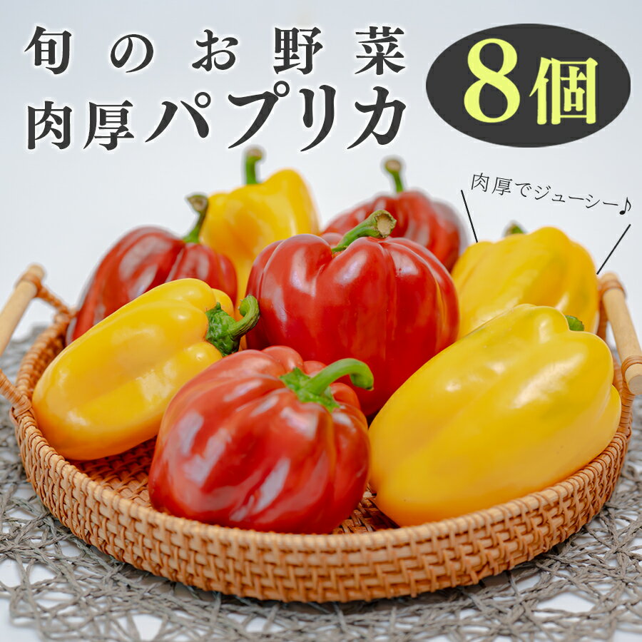 【ふるさと納税】【高知県 大月町産】田村農園の肉厚パプリカ　8個