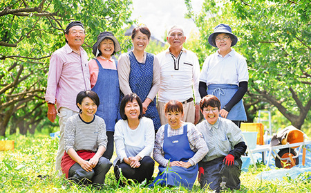 うめっぽのゼリー3種セット9本入り　福井県おおい町産梅使用 お菓子 生菓子 スイーツ ひんやりスイーツ 涼 梅ゼリー 柚子 いちご ミックスゼリー 完熟梅ゼリー 食べ比べ 