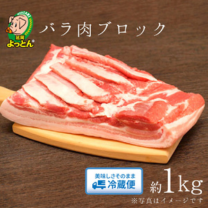 延岡よっとん バラブロック約1kg N003-YA968