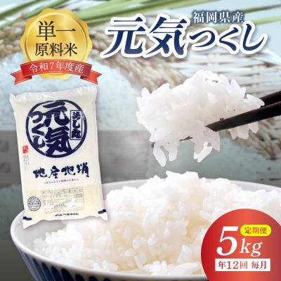 ふるさと納税 宗像市 令和7年産【定期便/年12回】元気つくし5kg【ほたるの里】_HB0205