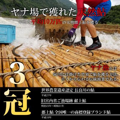 ふるさと納税 郡上市 天然鮎専門店みやちかの【天然鮎詰め合わせ】長良川郡上鮎 |  | 03