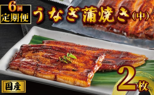 国産うなぎ蒲焼き タレ・山椒付き 2枚 1枚約100g 定期便6回  うなぎ 鰻 蒲焼 定期便 うな重 鰻丼 うな丼 ひつまぶし 土用の丑の日 土用丑 魚 海鮮 魚介類 肉 冷凍 真空パック 個包装 小分け おつまみ おかず 惣菜 ビール 酒 焼酎 日本酒 ウイスキー  お取り寄せ ギフト プレゼント 贈答 贈答用 贈り物  お中元 お歳暮 母の日 父の日 敬老の日 千葉県 銚子市 石毛川魚店