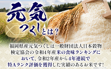 【無洗米 6回定期便】 令和8年産 無洗米 金のめし丸 元気つくし 5kg 定期便 半年 福岡 お米 米 ごはん ご飯 お弁当 おにぎり 金のめし丸県産米 福岡ブランド米 めし丸 ライス rice 飯
