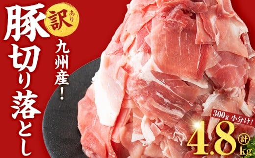 【2月発送予定】【訳あり・生産者応援企画】九州産 豚切り落とし肉＜計4.8kg(300g×16P)＞ b3-023-02