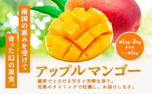 南国の恵みを受けて育った、アップルマンゴーです。