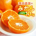 【ふるさと納税】渥美半島の伊良湖みかん 10kg（ 訳あり ） みかん ミカン mikan 蜜柑 送料無料 フルーツ 果物 大容量 渥美半島 甘い 濃厚 コク ジューシー 応援 寄附 産地直送 田原市 愛知県 ご家庭用