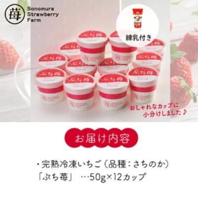 ふるさと納税 宇土市 熊本県宇土産 完熟冷凍いちご「ぷち苺」12カップ 練乳付き 園村苺園 |  | 01