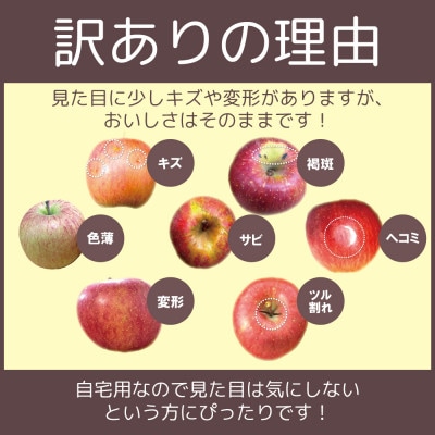 11-12月 蜜入り時期に厳選発送! 青森県産 りんご 訳あり 葉とらずサンふじ 家庭用 約10kg【配送不可地域：沖縄県】