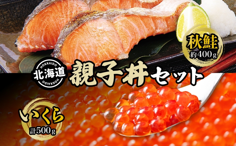 秋鮭といくらの親子丼セット(甘塩秋鮭切身1切 約100g×4切、いくら醤油漬け250g×2個) サーモン 魚貝類 魚卵 加工食品 
