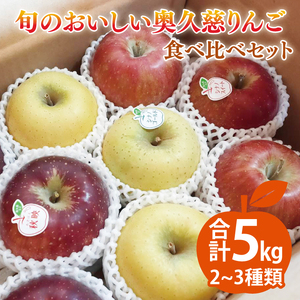 【先行予約】【10月中旬頃発送予定】【しいなりんご園】旬のおいしい奥久慈りんご食べ比べセット 約5kg【先行予約・数量限定】｜茨城県 大子町 林檎 詰合せ 旬 果物 フルーツ ギフト 贈答(CI002-1)