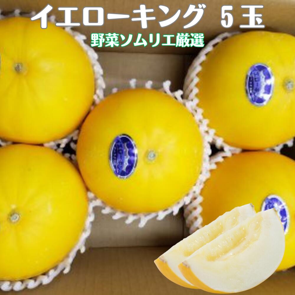 【ふるさと納税】先行予約 道の駅の野菜ソムリエ厳選 イエローキング 5玉 箱詰め めっくんはうす メロン フルーツ 果物 お取り寄せ 渥美半島 産地直送 田原市 送料無料 めっくんはうす