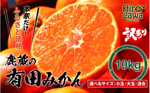 【 鹿蔵の 有田 みかん 訳あり 10kg 】 光センサー 選果 / 温州みかん 有田みかん 甘い 家庭用 和歌山 柑橘 ※11月より順次発送予定 ※北海道・沖縄・離島への配送不可【ikd004-cm