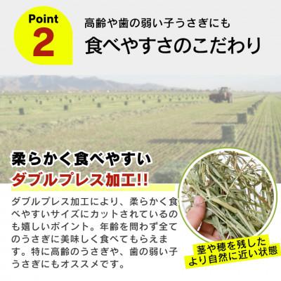ふるさと納税 久留米市 香り豊かなチモシー やわらか仕上げ ロングタイプ 1kg×8袋セット(久留米市) |  | 02