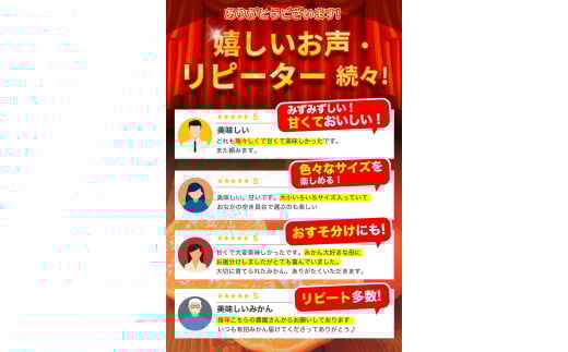 【2025年11月発送予約分】＼光センサー選別／ 【農家直送】【家庭用】こだわりの有田みかん 約6kg＋250g(傷み補償分) 先行予約 有機質肥料100% サイズ混合 【11月発送】みかん ミカン 