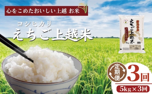 【えちご上越米】令和7年産 新潟県上越産 コシヒカリ 5kg×3回 15㎏ 定期便 精米 こしひかり JAえちご上越