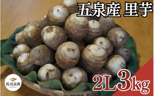 【令和8年産先行予約】五泉産 里芋 2L 3kg さといも サトイモ 新潟県 五泉市 渡辺農園