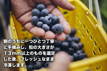 【予約】冷凍ブルーベリー 1kg 直径13mm以上　※7月下旬発送予定