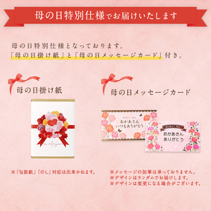 母の日ギフト 国産百花蜂蜜500g（とんがり容器）×2本 はちみつ ハチミツ 母の日 お祝い プレゼント 贈り物 おすすめ メッセージカード付 024-019-H