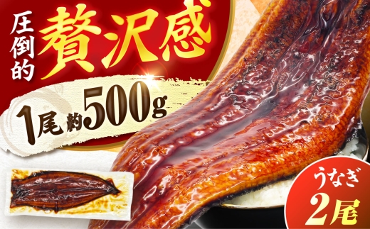 【1尾約500g】超特大うなぎ 蒲焼×2尾 冷凍 うな重 ひつまぶし 鰻 うなぎ蒲焼 ウナギ 蒲焼 蒲焼き 広川町 / 株式会社イールファクトリー [AFBS032]