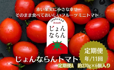 トマト定期便 じょんならん モリヒロ園芸 ミニトマト トマト定期便【約270g×6個】【年間11回】