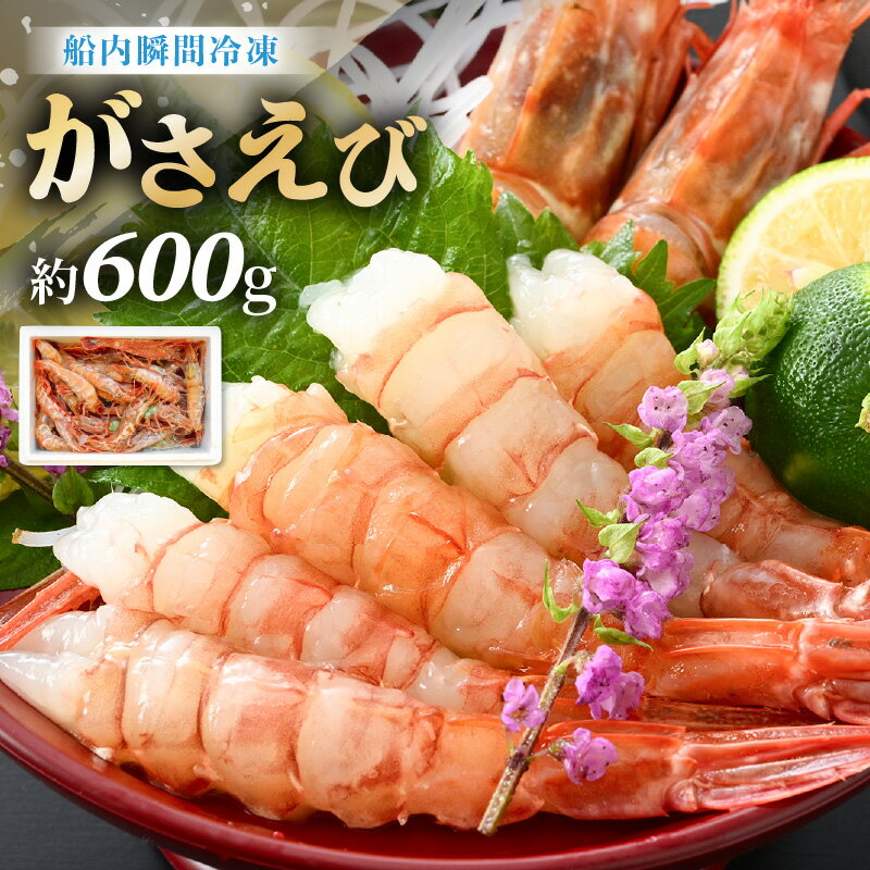 【ふるさと納税】【12月25日入金確認分まで年内発送可能！】【発泡箱入り】漁船直送☆船内瞬間冷凍 がさえび 約600g 【希少 海老 えび エビ ガサエビ ガラエビ がらえび ザコエビ ブルエビ ガマエビ ガスエビ がすえび 殻付き 有頭 生食 刺身 魚介類 魚貝類 産地直送 国産】